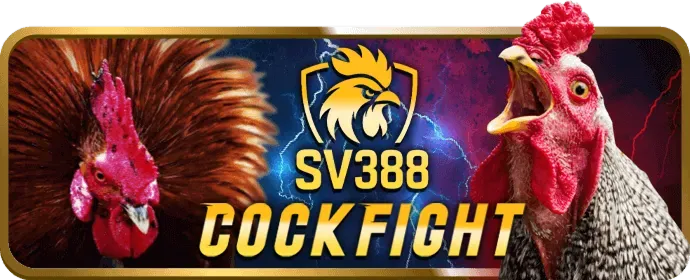 Phần mềm theo dõi hiệu suất Win55