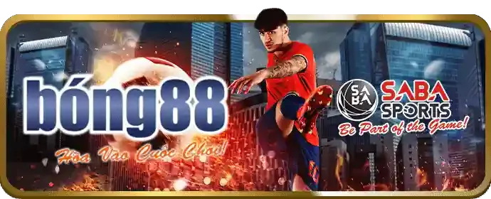 Quản lý đối tác cá nhân Win55